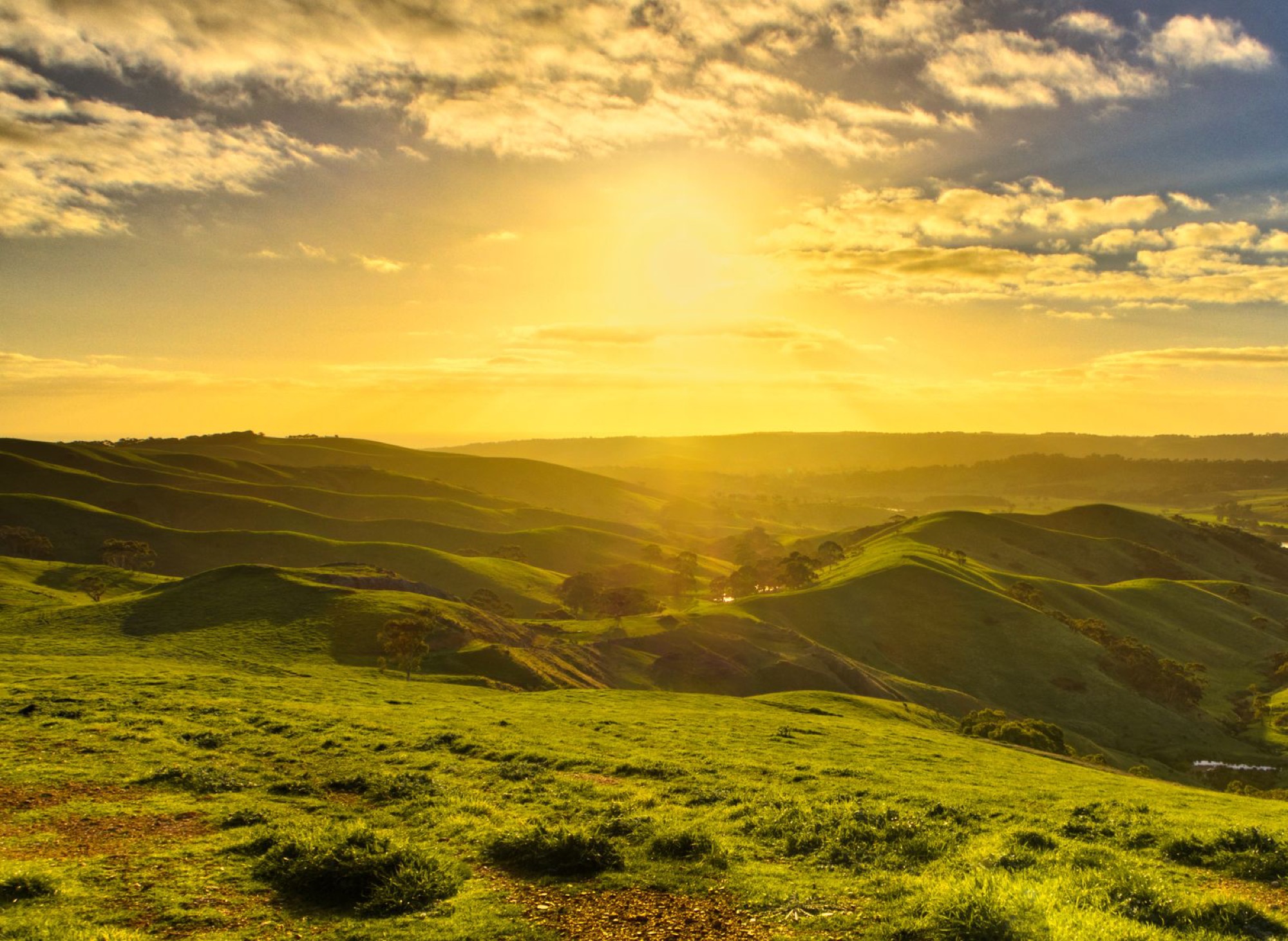 Golden light over rolling grazing country in the Southern Tablelands